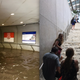 Swimming home from work in DC. (Images: @SenoritaDez)
